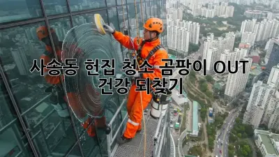 🏡 사송동 헌집 청소, 곰팡이 OUT! 건강 되찾기 ✨