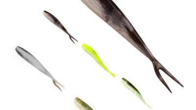 놓치면 후회! 1인치웜 솔직 후기 & 꿀팁 대방출 🎣